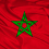 منير الحضري