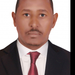 أمير عمر حسنين
