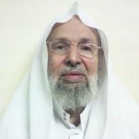 Abd AlHamid Mahmoud
