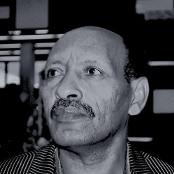 أبو بكر حامد