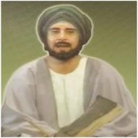 شمس الدين ابن