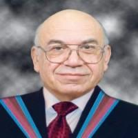 Gamal Badawi 