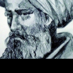 محمد بن حبيب