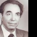 كامل مصطفى الشيبي